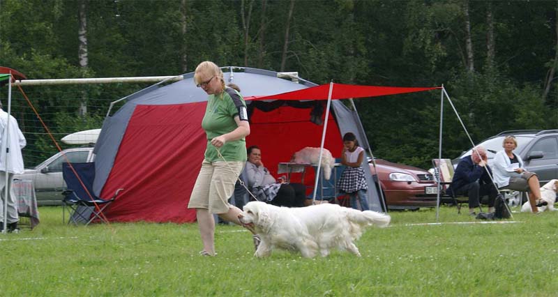 SWE_CLUBSHOW_Shoguns_Spice_Twice_Cottontail_c