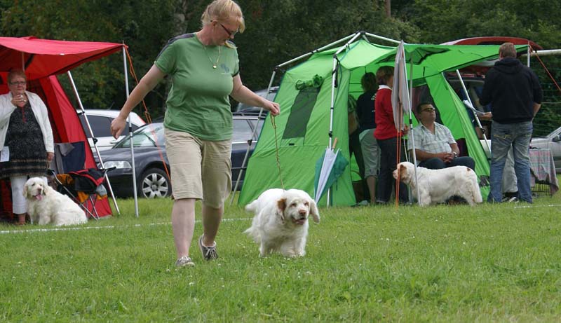 SWE_CLUBSHOW_Shoguns_Spice_Twice_Cottontail_e