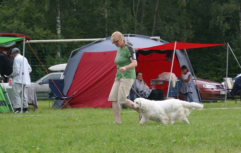 SWE_CLUBSHOW_Shoguns_Spice_Twice_Cottontail_f