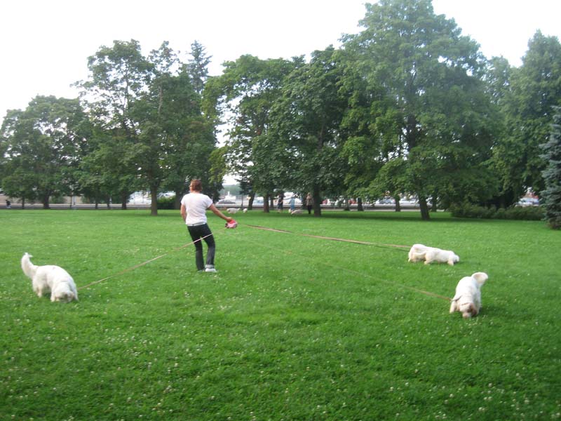 a_trip_to_Sweden_starts_from_Turku