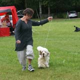 SWE_CLUBSHOW_ChampionClassDogs_34_b