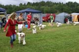 SWE_CLUBSHOW_ChampionDogs_d