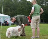 SWE_CLUBSHOW_Champion_dog_ST_Athos_e