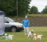 SWE_CLUBSHOW_IntermediateDog_ST_Snow_Go_d