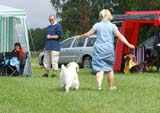 SWE_CLUBSHOW_IntermediateDog_ST_Tag_Heuer_d