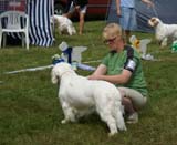 SWE_CLUBSHOW_IntermediateDog_ST_Yes_or_Snow_d