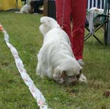 SWE_CLUBSHOW_Nexus_Spice_Twice_Vanguard_I