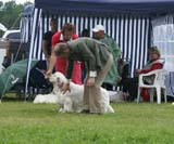 SWE_CLUBSHOW_Nexus_Spice_Twice_Vanguard_J