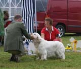 SWE_CLUBSHOW_Nexus_Spice_Twice_Vanguard_K