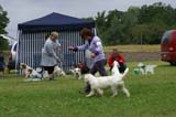 SWE_CLUBSHOW_PuppyClass_4a