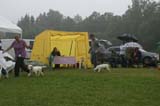 SWE_CLUBSHOW_PuppyClass_i