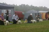 SWE_CLUBSHOW_PuppyClass_j