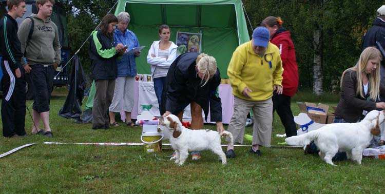 BIS1_Puppy_Dons_Bacon_Proof