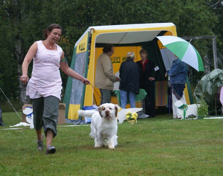 BIS2_Minglas_Dunder_Karlsson