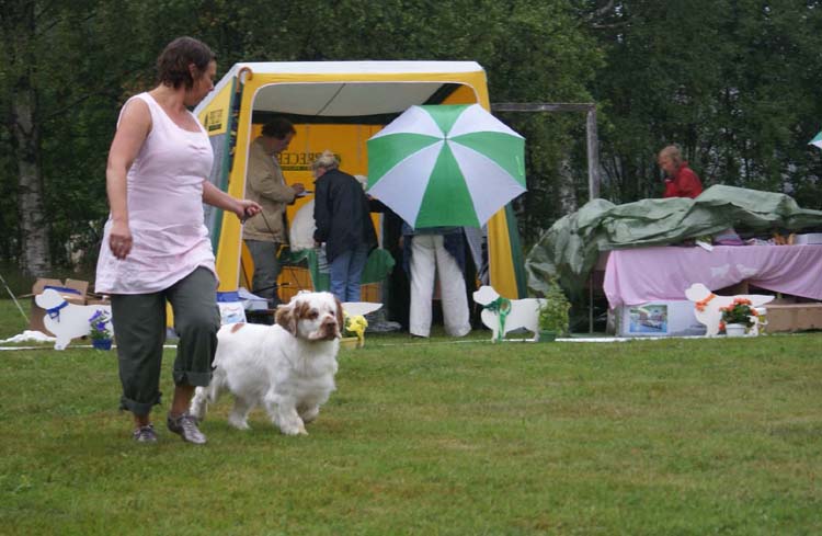 BIS2_Minglas_Dunder_Karlsson_c