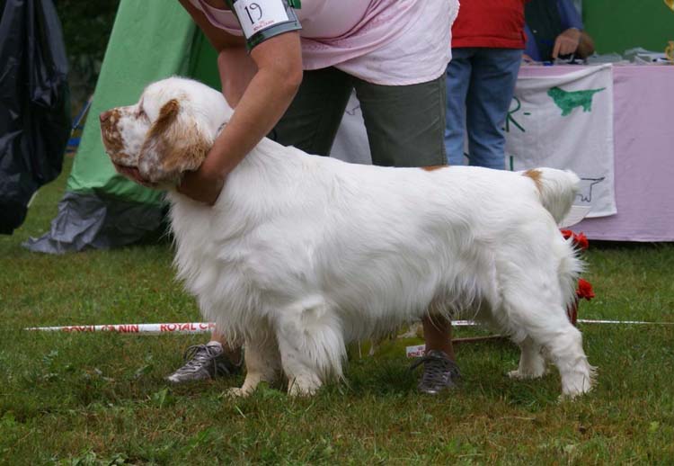 BIS2_Minglas_Dunder_Karlsson_f