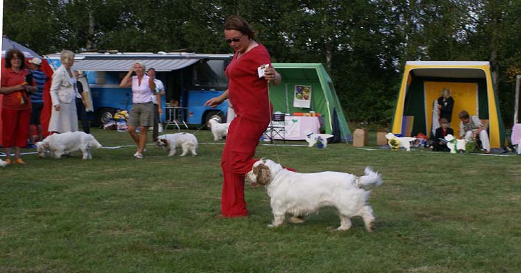 Best_Bitch_ring_ST_Holy_Moly