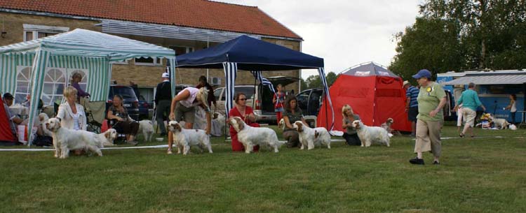 Best_Bitch_ring_not_in_order_yet_a