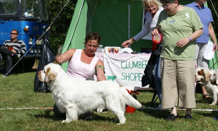 Best_Dog_Minglas_Dunder-Karlsson