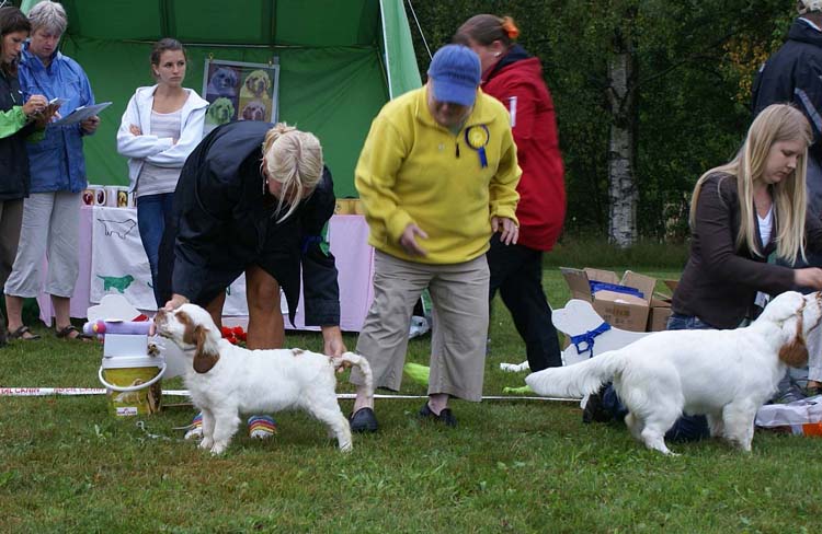 Best_YoungBitch_puppies1-2_DonsBaconProof_ST_SnowMercy