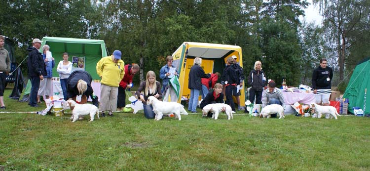 Best_YoungBitch_puppies_4-6months