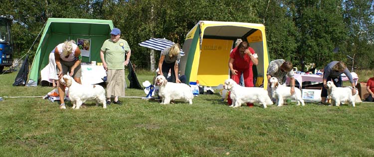 Best_intermediate_bitches_1-5_b