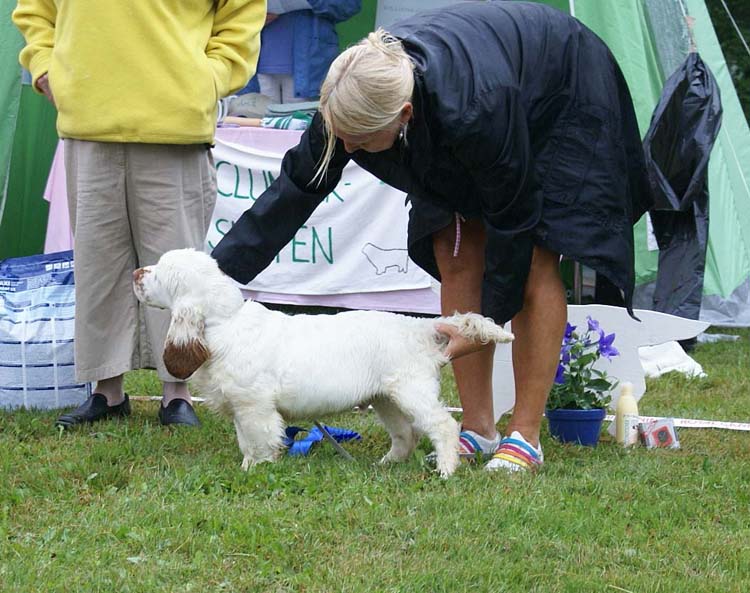 Best_young_male_puppy_2nd_Dons_Bohemian_Rhapsody