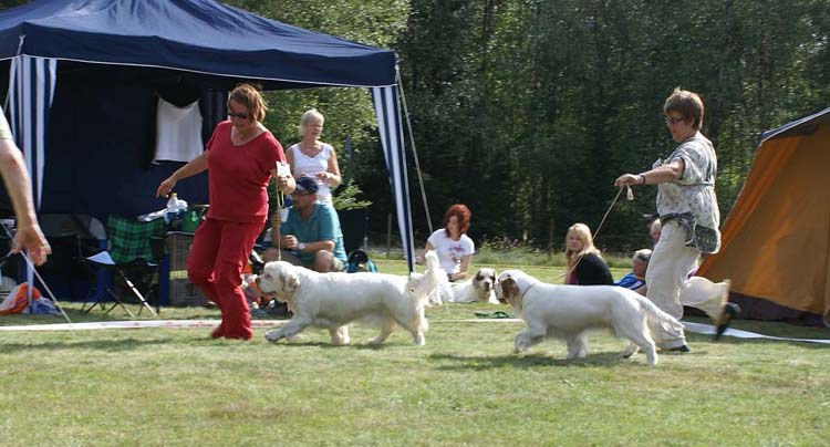 BumbaaMedvediSmecka_TweedsmuirCoctailNDream