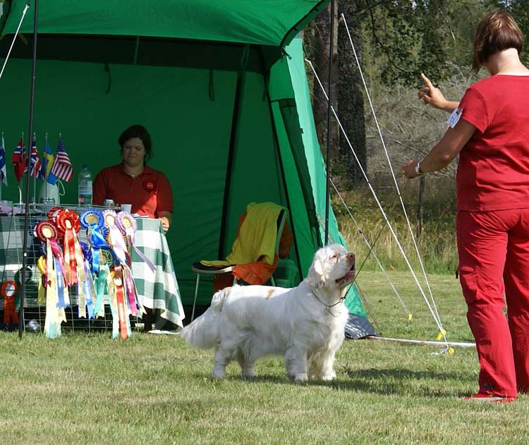 Bumbaa_Medvedi_Smecka