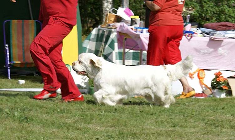 Bumbaa_Medvedi_Smecka_b