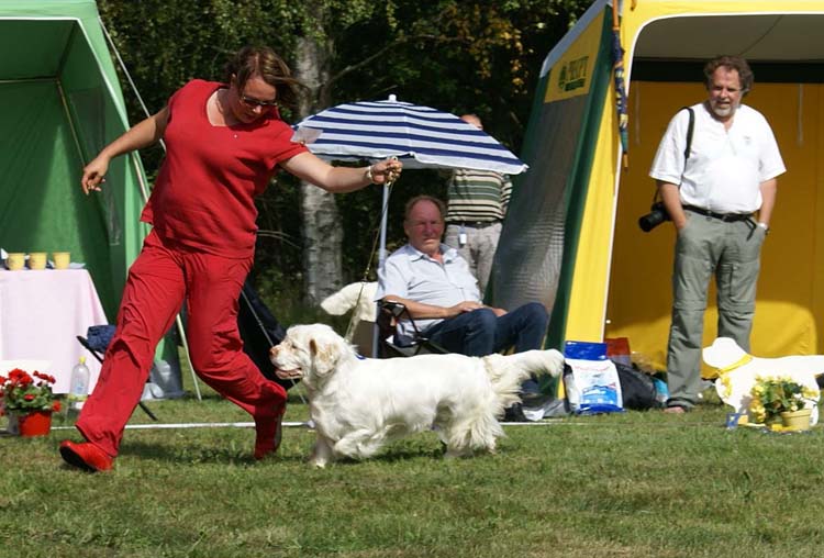 Bumbaa_Medvedi_Smecka_c