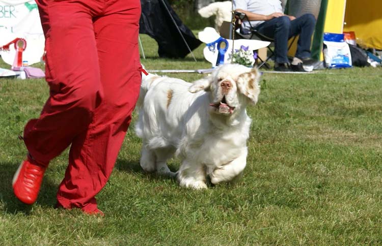 Bumbaa_Medvedi_Smecka_d