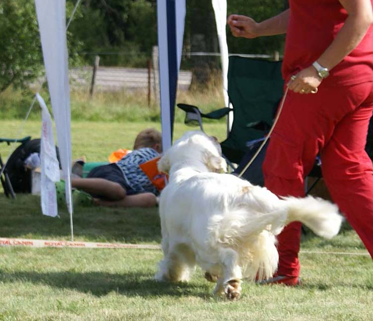 Bumbaa_Medvedi_Smecka_e