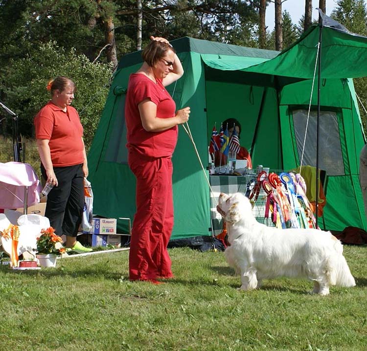 Bumbaa_Medvedi_Smecka_f