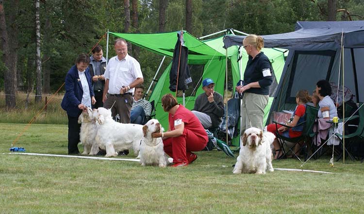 CH_class_dogs_STBohemiaVtip_NexusSTVanguard_STAthos