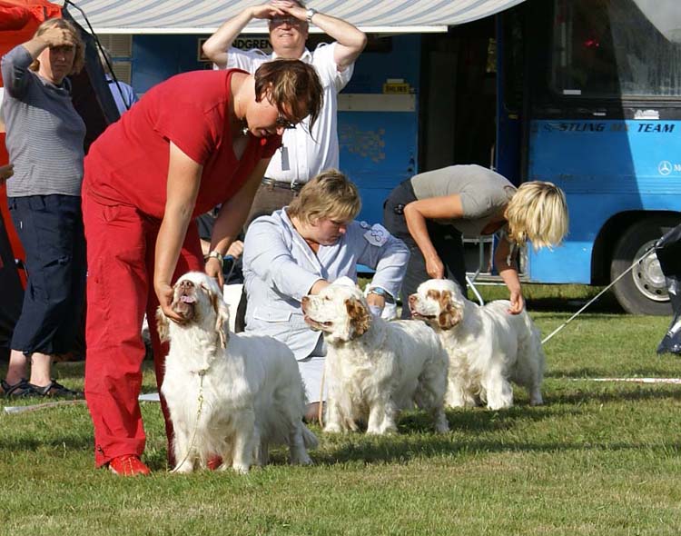 ChampionClassBitches_ST_Bohemia_Pohadka