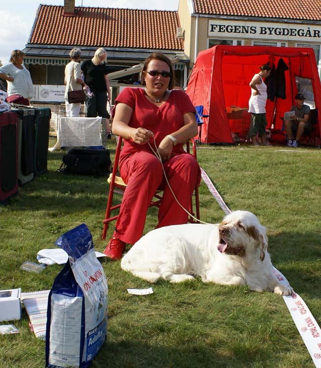 ST_Bohemia_Pohadka_e