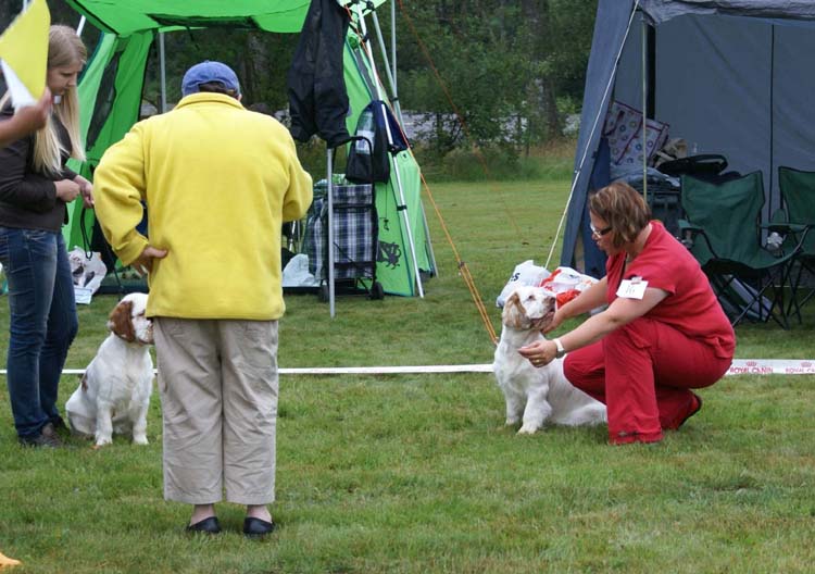 ST_Breitling_ST_Omega_a