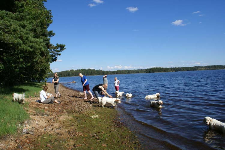 a_ST_gang_in_Sweden_a