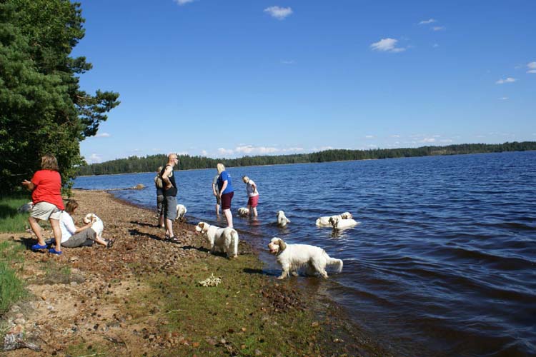 a_ST_gang_in_Sweden_c