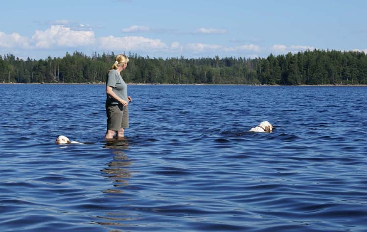 a_ST_gang_in_Sweden_j