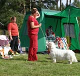 Bumbaa_Medvedi_Smecka_f