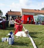 ST_Bohemia_Pohadka_b