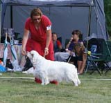 ST_Bohemia_Pohadka_d