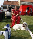 ST_Bohemia_Pohadka_e