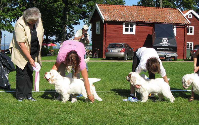 Bumbaa_Medivi_Smecka_BISPuppy_2