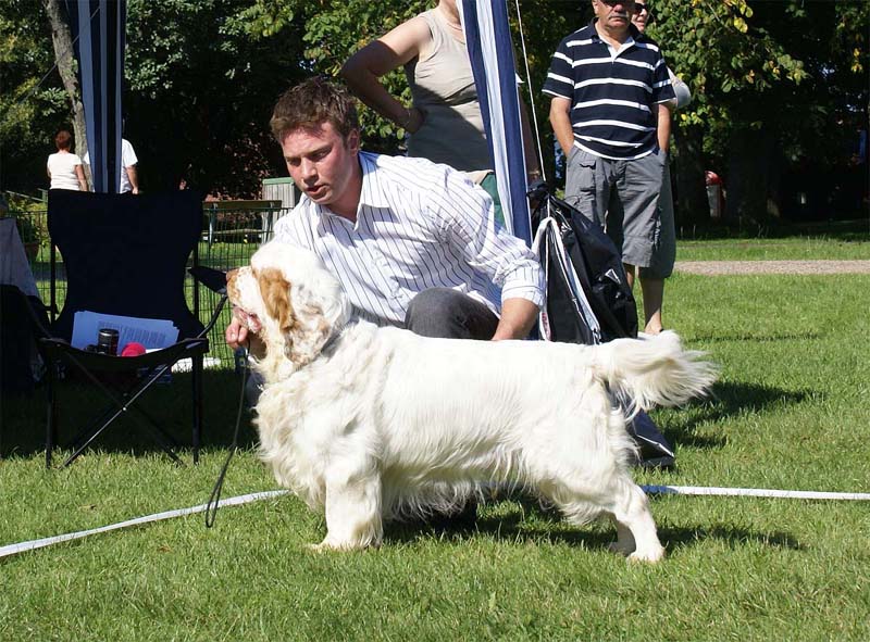 Clodhoppers_The_Road_Striper_1st_OpenClassDog