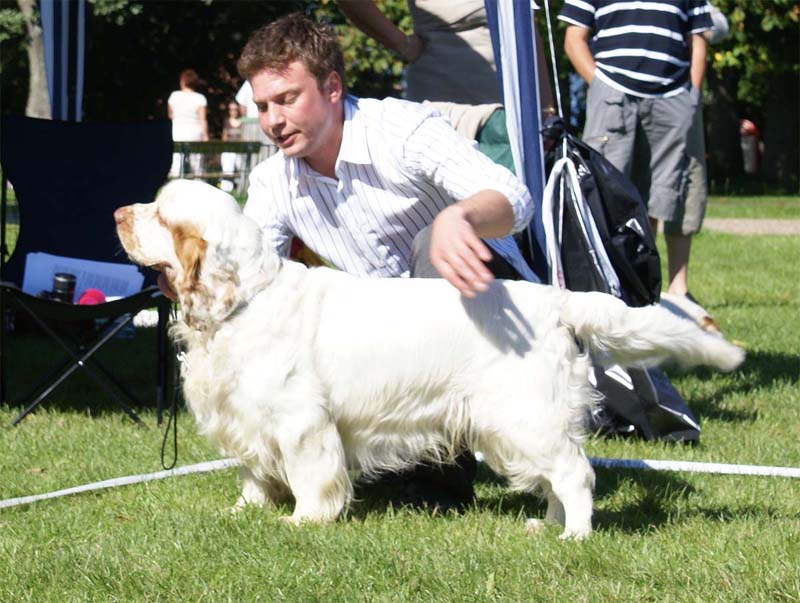 Clodhoppers_The_Road_Striper_1st_OpenClassDog_2