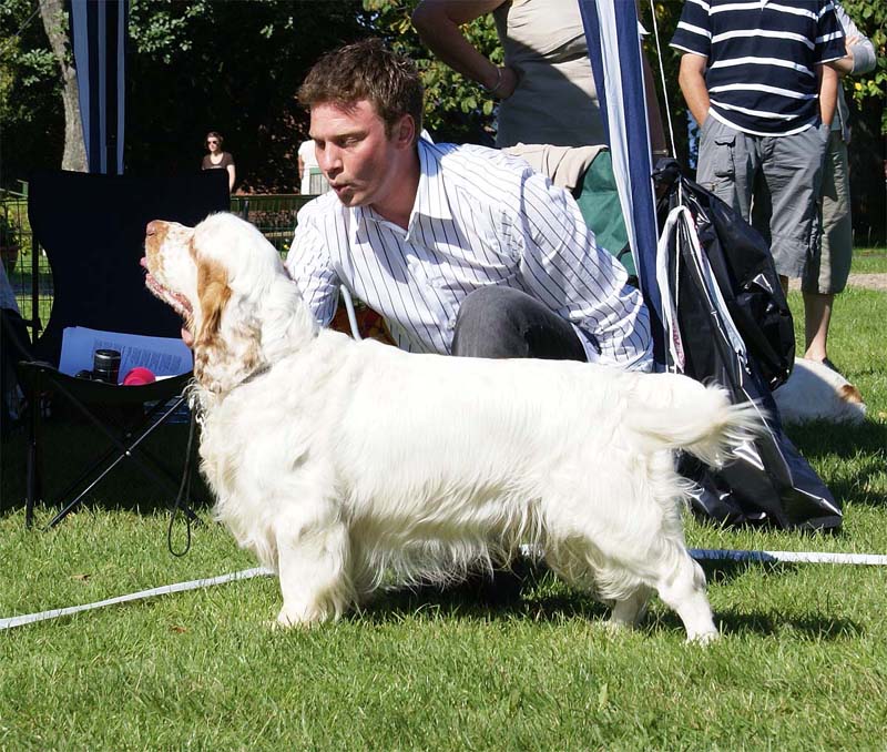 Clodhoppers_The_Road_Striper_1st_OpenClassDog_3