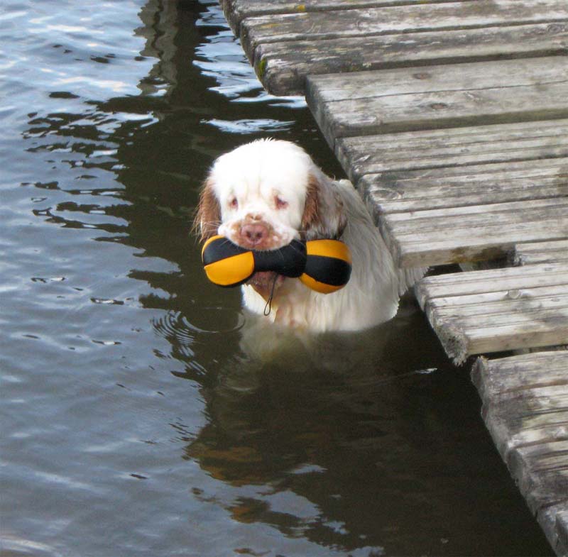 Nexus_Spice_Twice_Vanguard